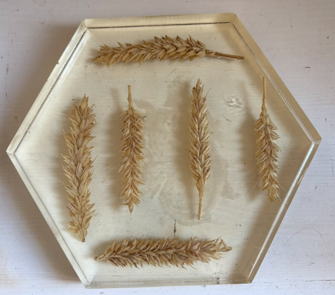 DESSOUS DE PLAT BLÉ EN RÉSINE D’ÉPOXY