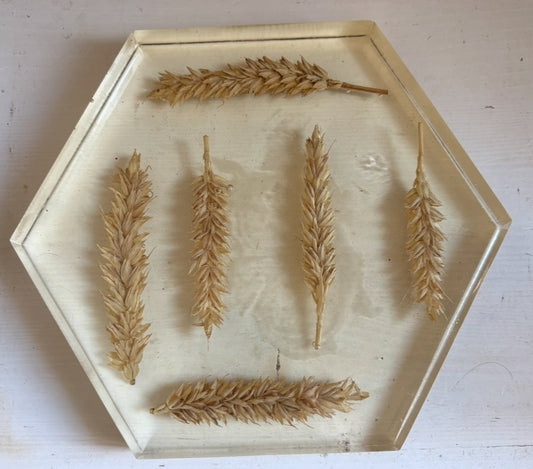 DESSOUS DE PLAT BLÉ EN RÉSINE D’ÉPOXY